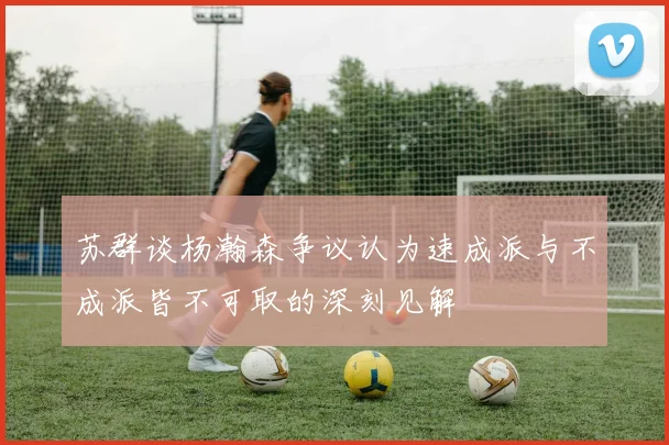 苏群谈杨瀚森争议认为速成派与不成派皆不可取的深刻见解